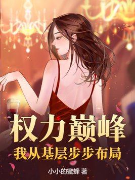 权力巅峰:我从基层步步布局