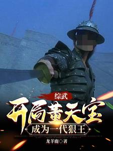 综武:开局董天宝,成为一代狠王